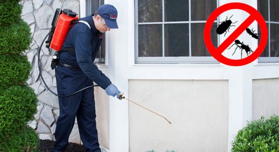 Haliliye Kemirgen İlaçlama böcek ilaçlama ve haşere kontrolü — ilaclama-tr.com